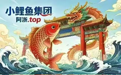 小鲤鱼导航横幅